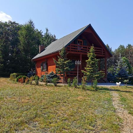 Domek Na Wsi Nad Jeziorem , Prywatny Staw Kamienczyk Dezerta Dış mekan fotoğraf