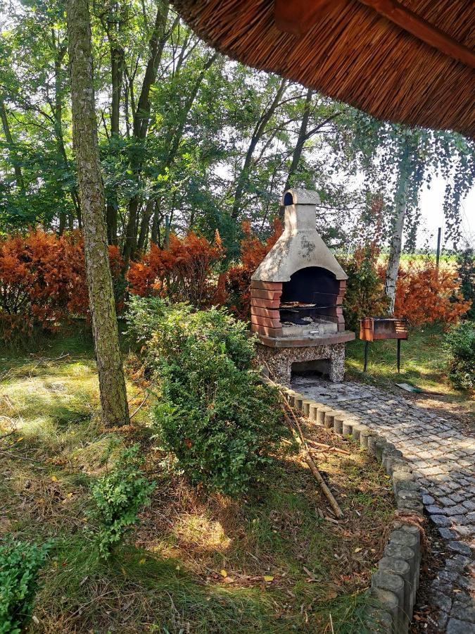 Domek Na Wsi Nad Jeziorem , Prywatny Staw Kamienczyk Dezerta Dış mekan fotoğraf